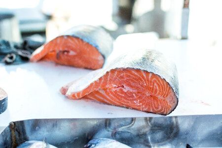 Salmon fish at a market photo