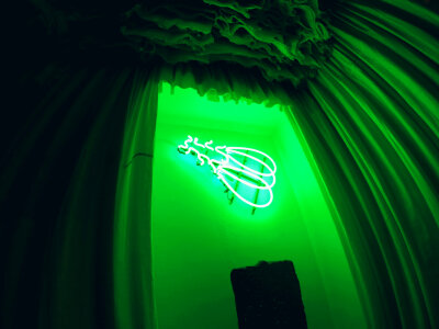 7 Sikka art fair 2014