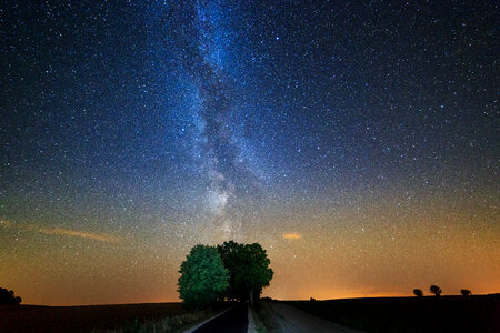 Milky way sky above the tree photo