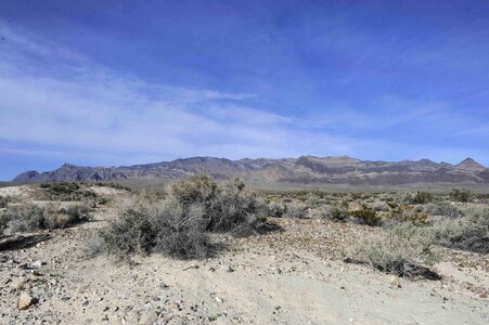Desert scenic sight