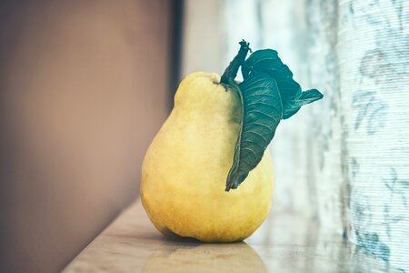 Cloesup Pear Fruit photo