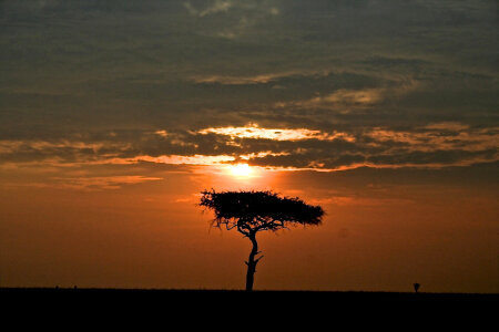 Sunset over the Plains landscape in Kenya