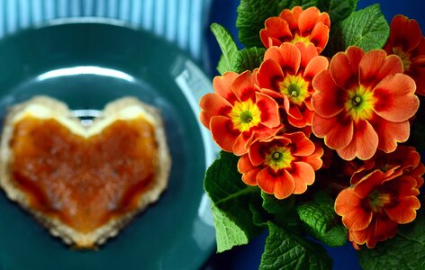 Blossom decoration diet