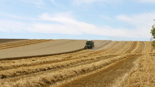 Agriculture harvest grass photo