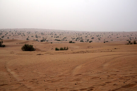 Desert and Sand Landscape 