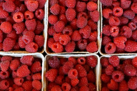 Delicious fruit eat