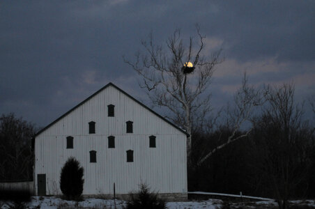 NCTC eagles nest at night-3