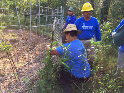 Fence repair