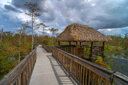 Boardwalk and hut at Big Cypress National Preserve photo