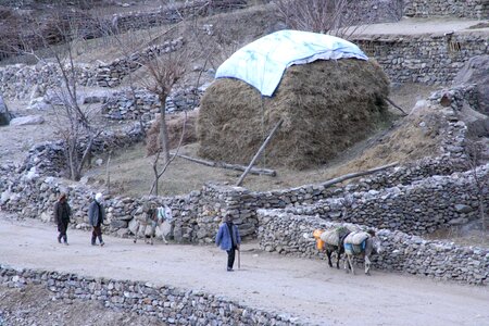 Afghanistan bearing carry