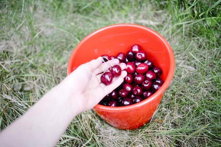 Fruits healthy food