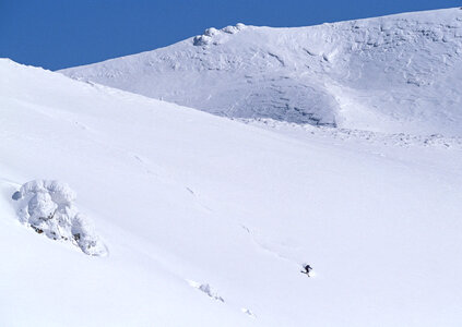 skier skiing on fresh powder snow photo