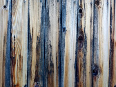 Fence pattern texture
