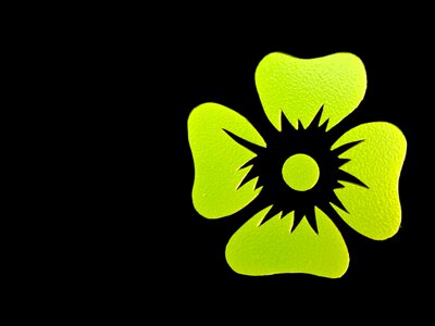 Green outlines silhouette