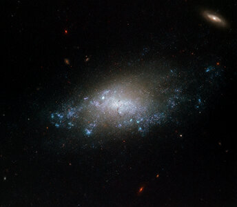 Hubble Spies Spiral Galaxy photo