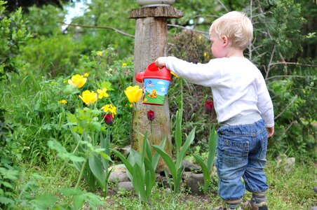 Watering flower boy photo