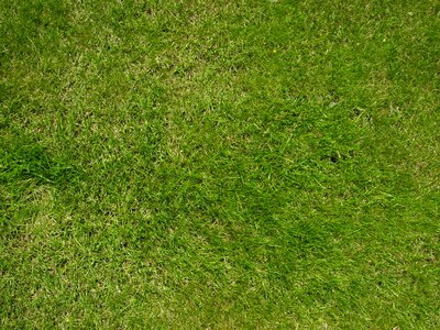 Nature outdoors texture