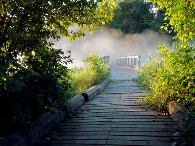 Fog on the wooden bridge walkway photo