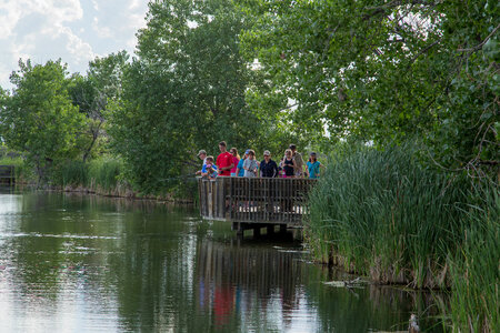 Fishing from a dock