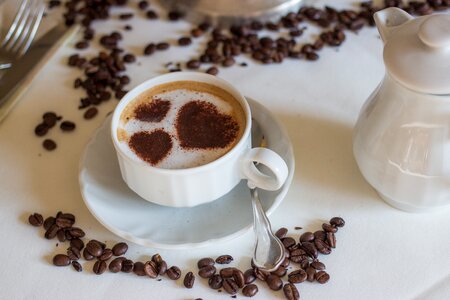 Cappuccino cup milchschaum photo