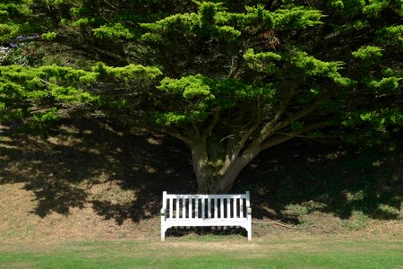 Chair park outside