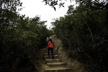 Two people walking up the steps on the Mountain in Hong Kong photo