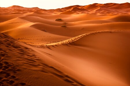 erg chebbi dunes in morocco photo