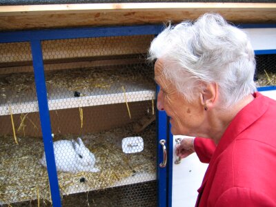 Hare rabbit hutch dependent