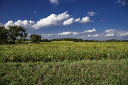 Far View of the landscape of yellow cropfields