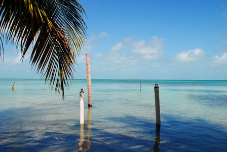 Ambergris central america island