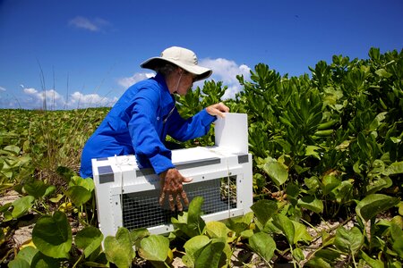 Array box field photo