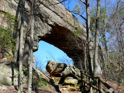 natural bridge in Natural Bridge State Park photo