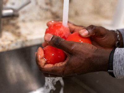 Washing vegetables tomatoes photo