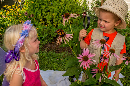 Children with eye glass look at monarch-1