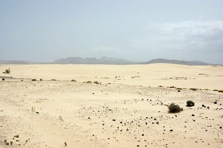 Drought sand landscape