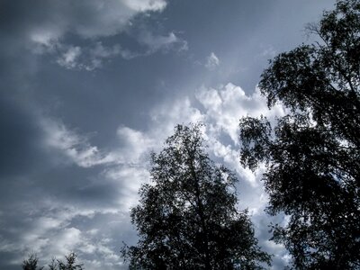 Clouds trees forest