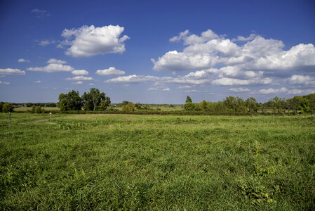 Grassy field landscape under sky and clouds
