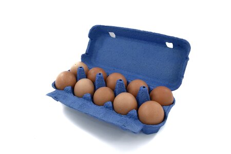 Egg egg box egg yolk photo