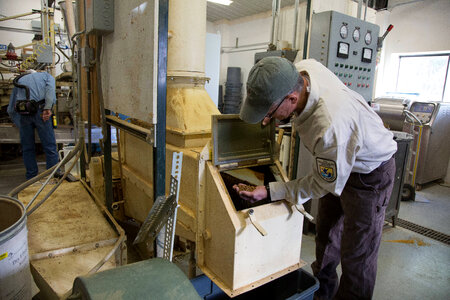 Fish Nutritionist dries and inspects fish food-1