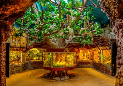 Sealife skansen stockholm