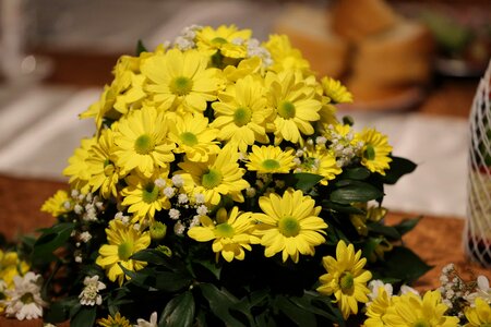 Flowers greenish yellow interior decoration