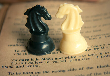 Black And White Horses photo