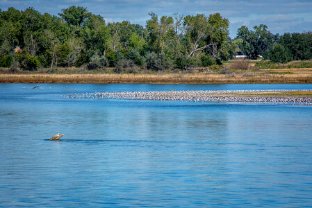 Missouri River near Yankton, South Dakota-1