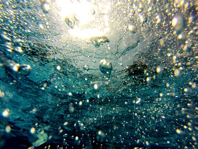 Diving scuba sea photo