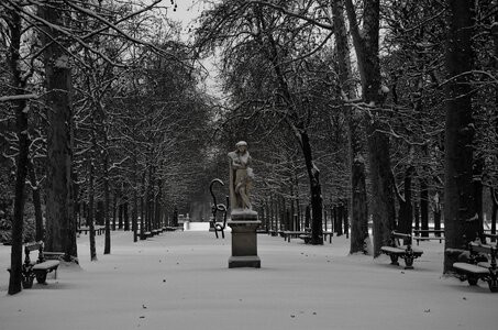 Monument sculpture trees photo