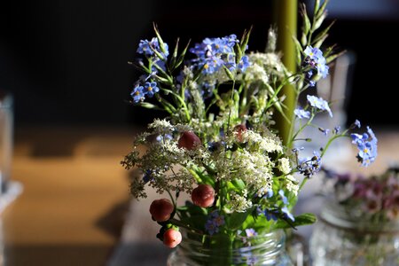 Plant deco close up