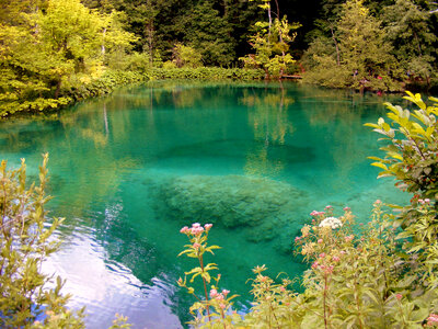 Beautiful Lakes and water at Plitvice Lakes National Park, Croatia