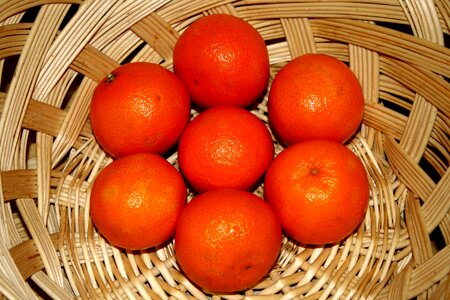 Clementine diet dietary