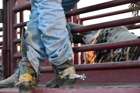 Rodeo leather western photo