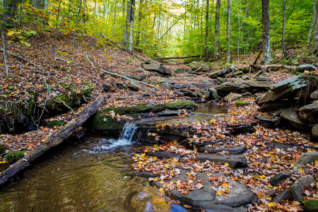 Brook Trout stream-3 photo